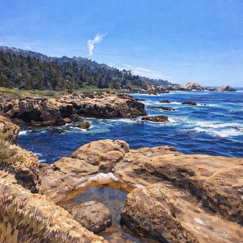 Sun-Drenched Coastline