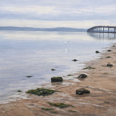 Morning Flight Over the Bay