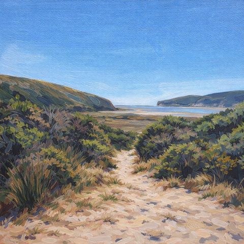 Path To The Open Bay